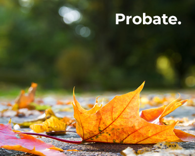 Probate at Eden Lawyers